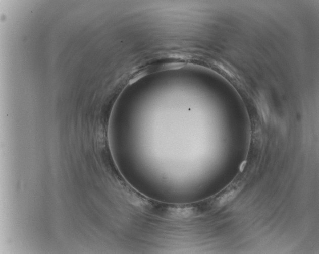 X0000073730469200608101934