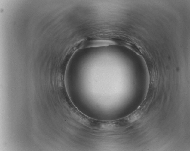 X0000073730470200608101934