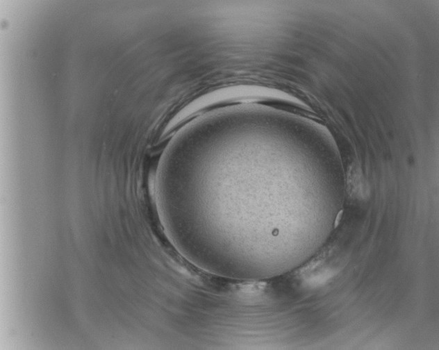 X0000073730474200608101934