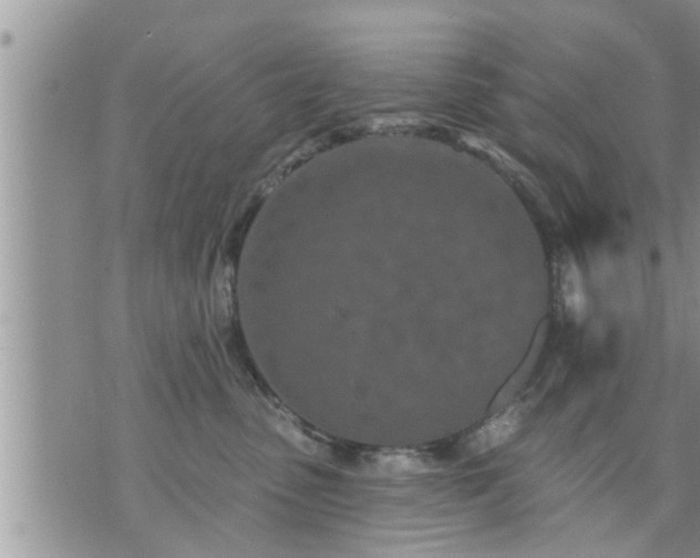 X0000073730475200608101934