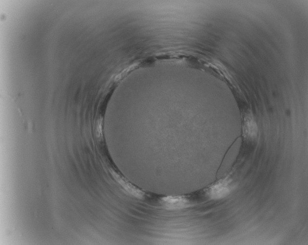 X0000073730477200608101934