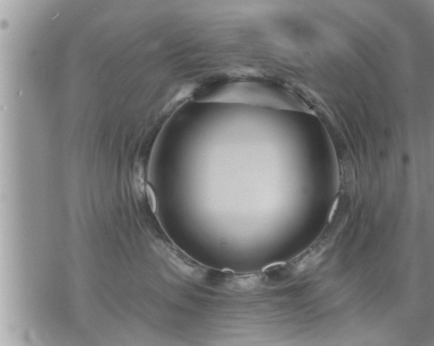 X0000073730479200608101934