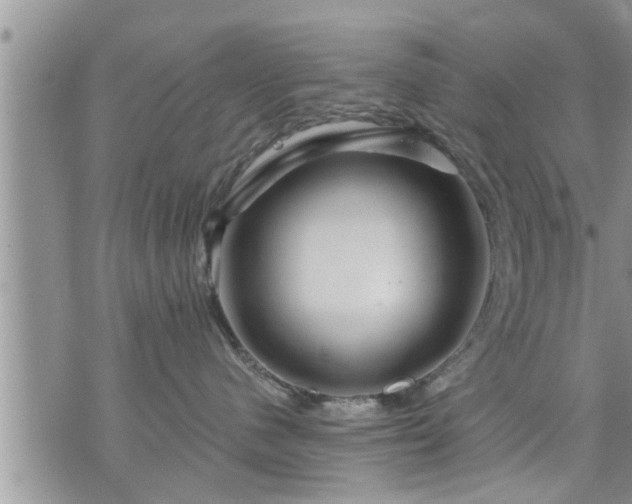 X0000073730480200608101934