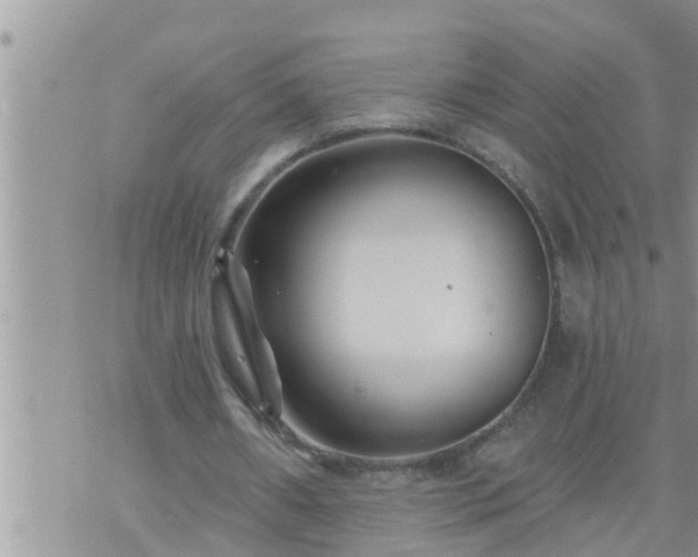 X0000073730482200608101933