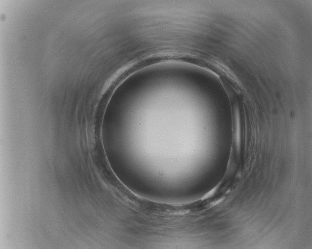 X0000073730484200608101933