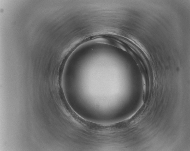 X0000073730485200608101933