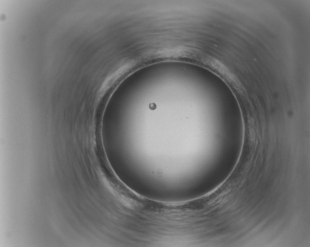 X0000073730486200608101933