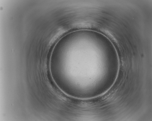 X0000073730487200608101933