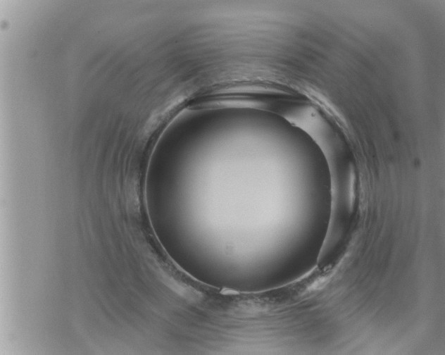 X0000073730489200608101933