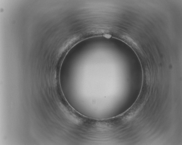 X0000073730490200608101933