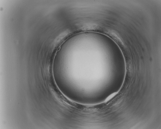 X0000073730491200608101933