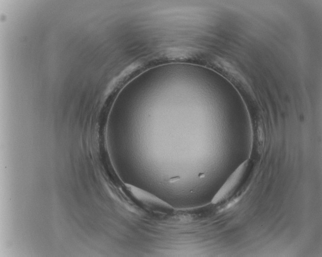 X0000073730492200608101933