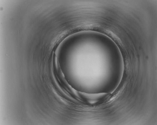 X0000073730493200608101933