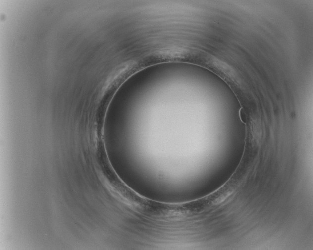 X0000073730494200608101933