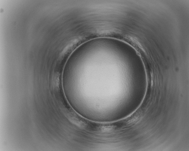 X0000073730495200608101933