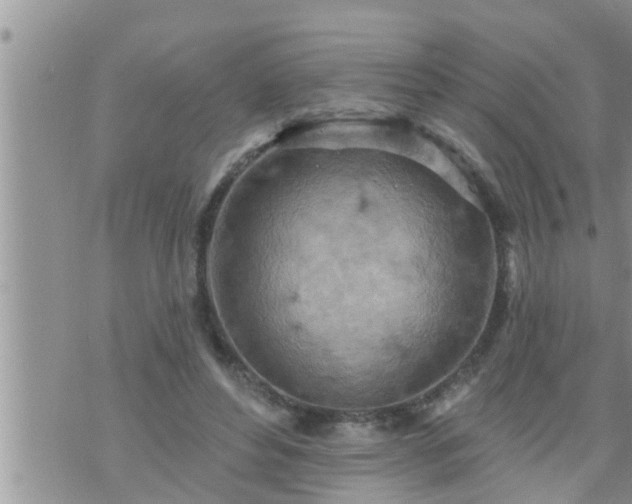 X0000073730496200608101933