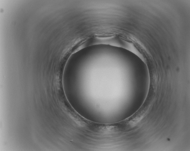 X0000073730497200608101933