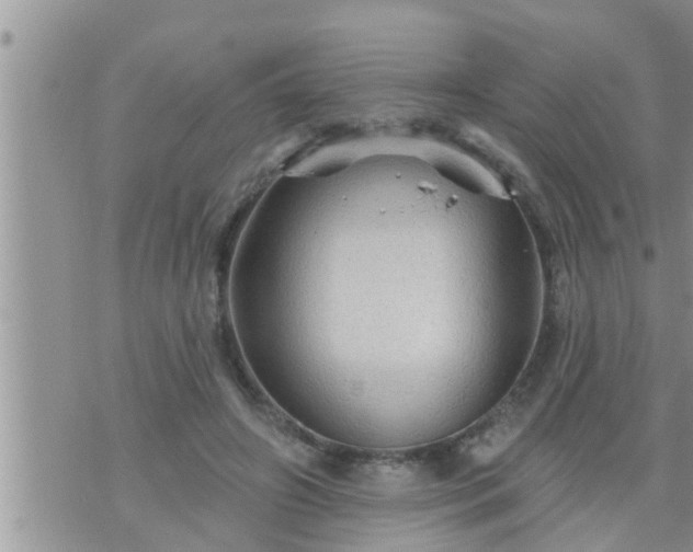 X0000073730498200608101933