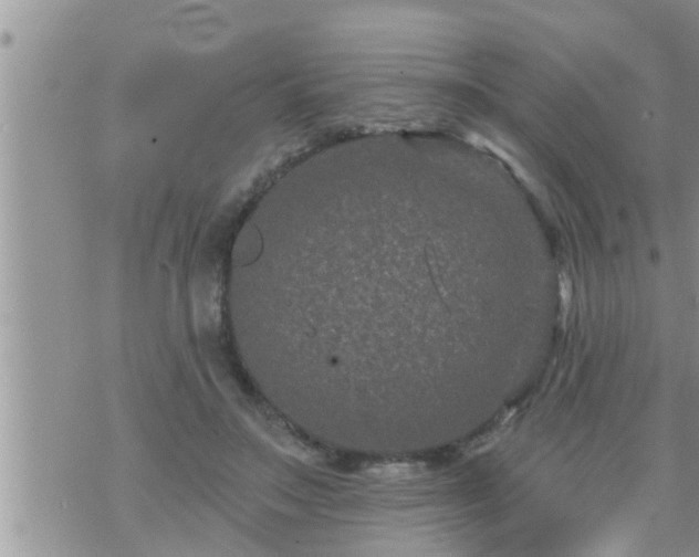 X0000073730499200608101933