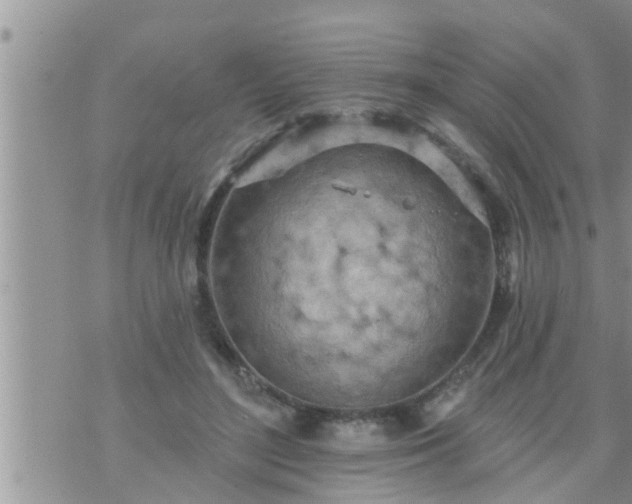 X0000073730500200608101933