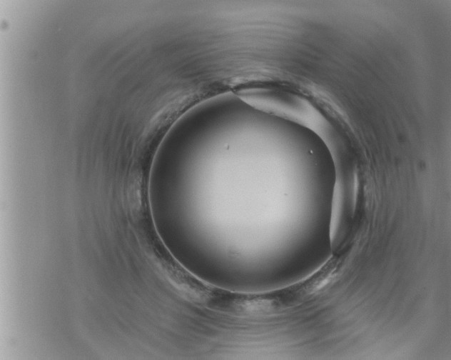 X0000073730501200608101933