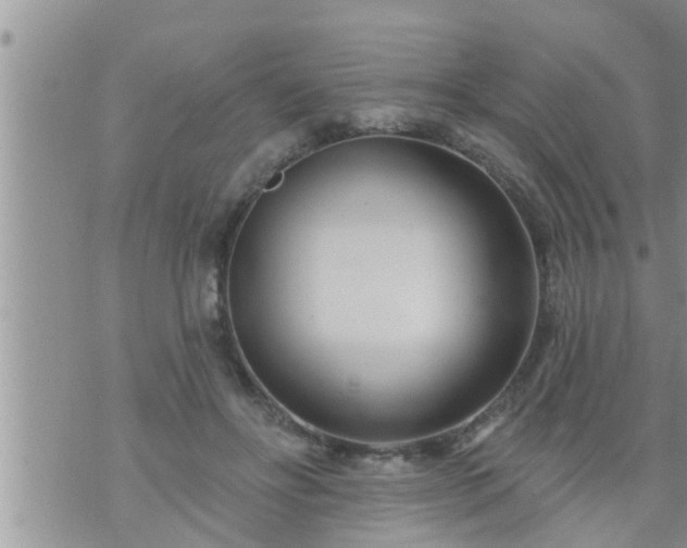 X0000073730502200608101933