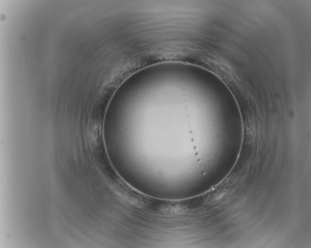 X0000073730503200608101933