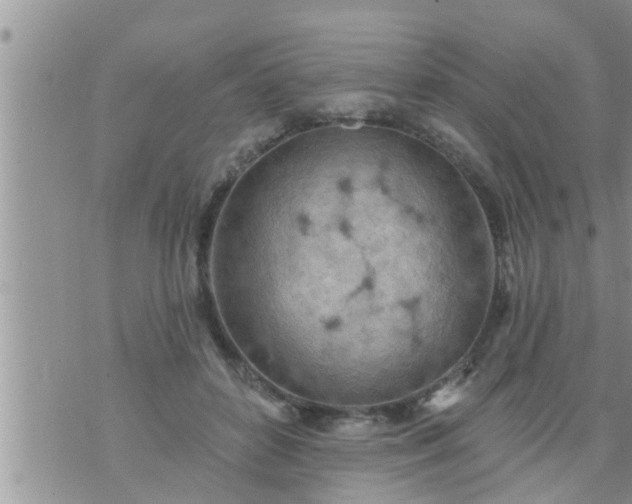 X0000073730504200608101933