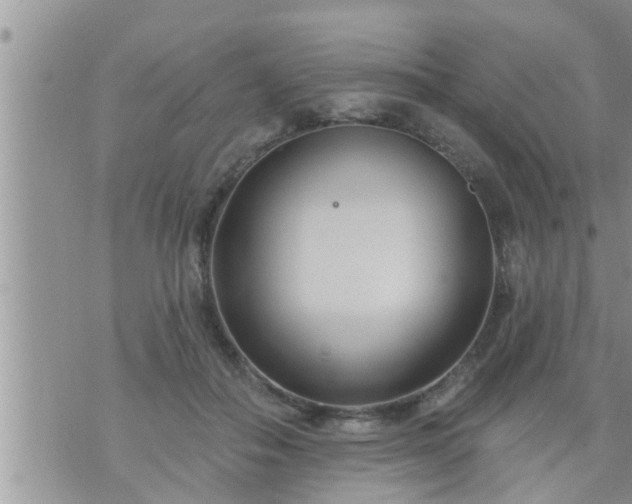 X0000073730506200608101933