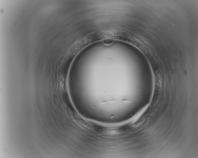 X0000073730507200608101933