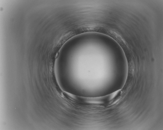 X0000073730509200608101933