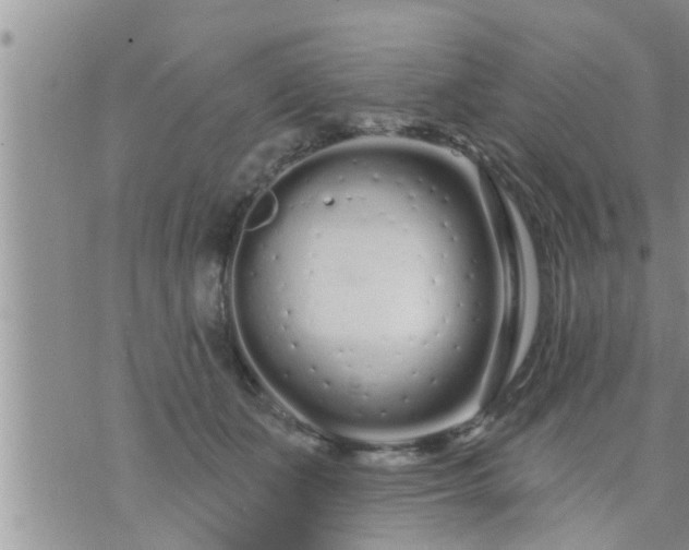 X0000073730511200608101933