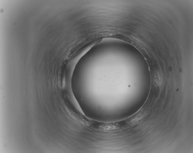 X0000073730512200608101933