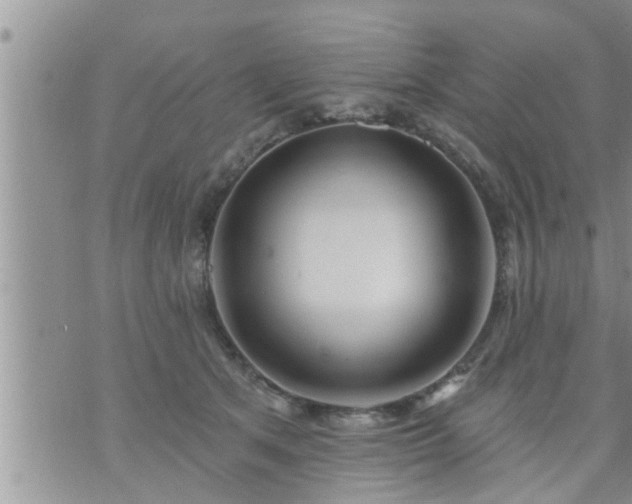 X0000073730513200608101933