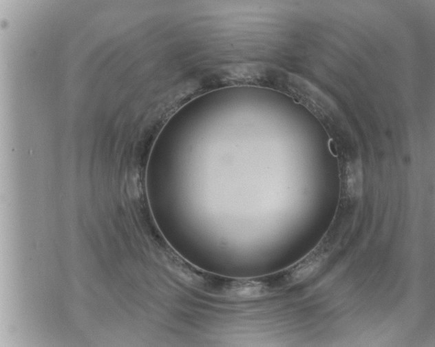 X0000073730514200608101933