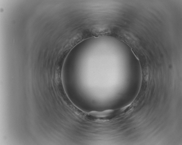 X0000073730515200608101933