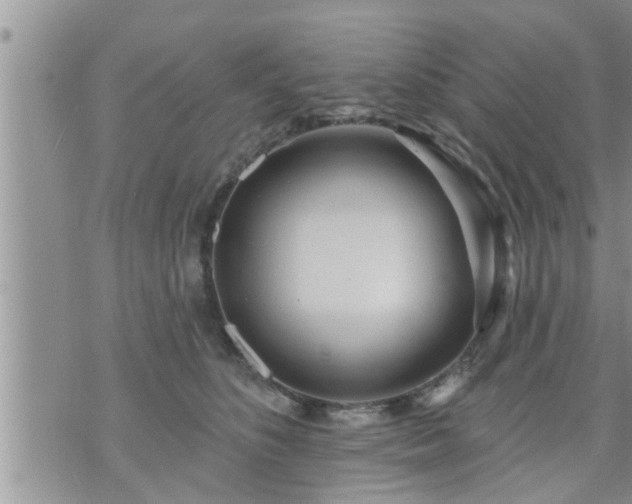 X0000073730516200608101933