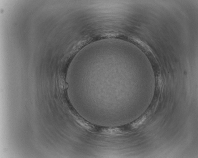 X0000073730517200608101933