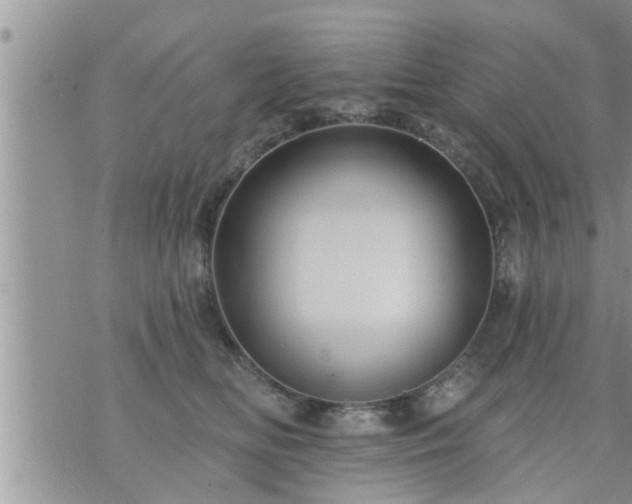 X0000073730518200608101933