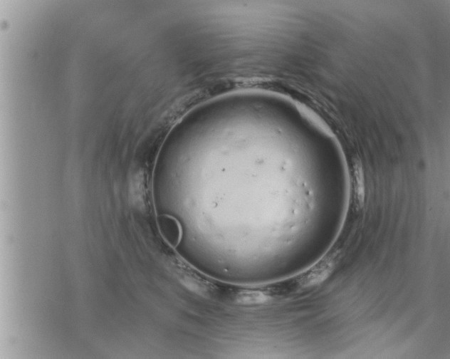 X0000073730519200608101933