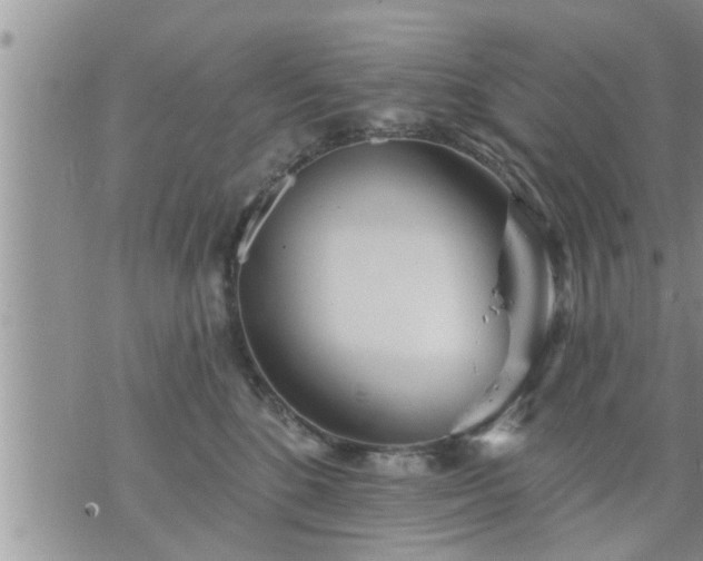 X0000073730520200608101933