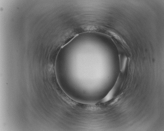 X0000073730521200608101933