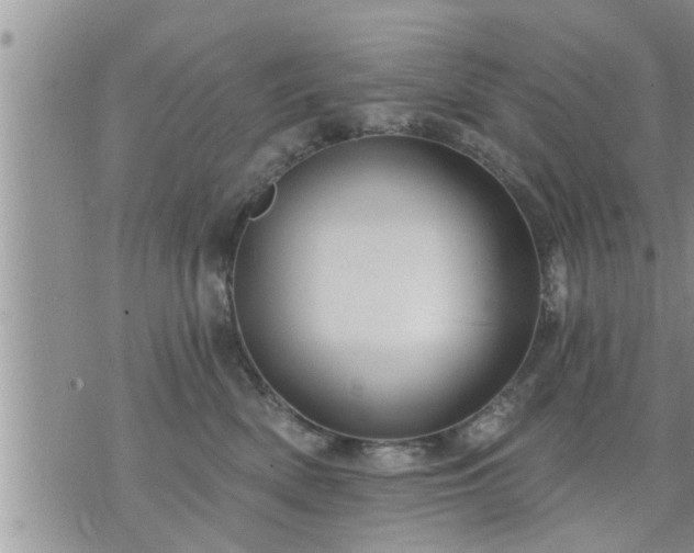 X0000073730522200608101933