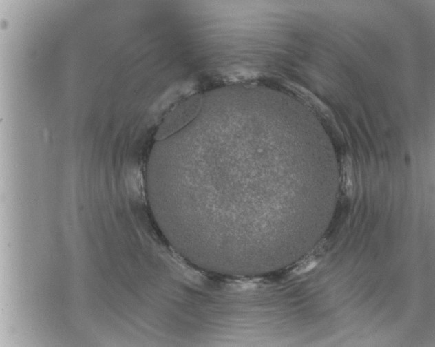 X0000073730523200608101933