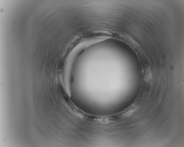 X0000073730524200608101933