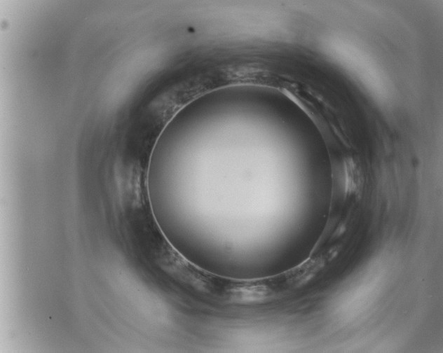 X0000073730525200608101933