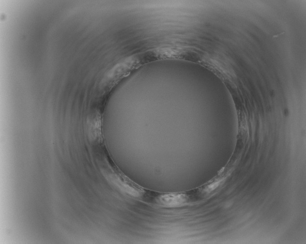 X0000073730526200608101933