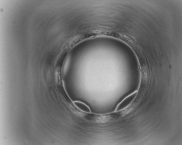 X0000073730527200608101933