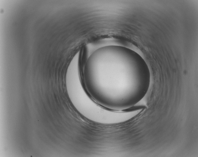 X0000073730528200608101933