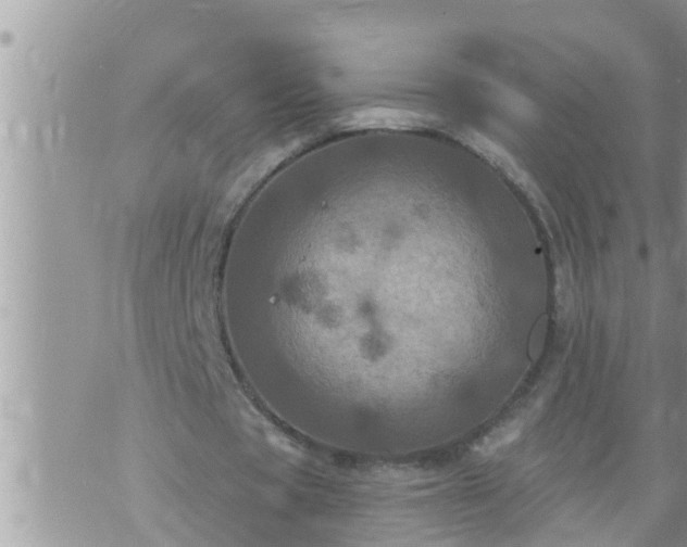 X0000073730529200608101932